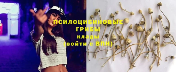 метадон Лагань