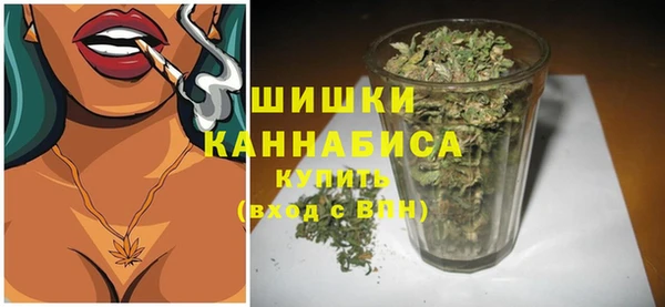 спайс Ладушкин