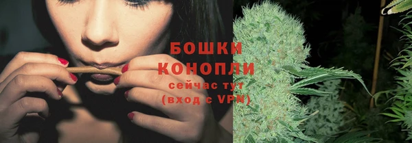 спайс Ладушкин