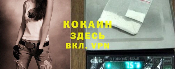 метадон Лагань