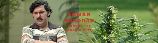 метадон Лагань